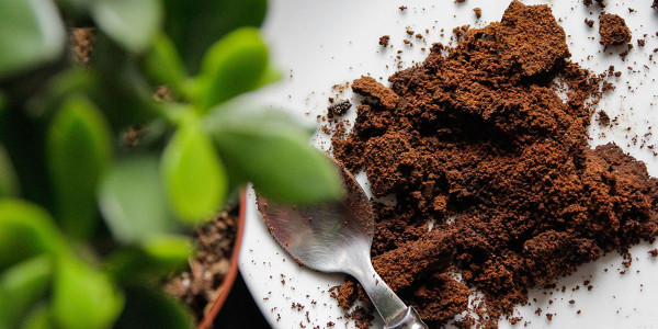 Was kann man mit benutztem Kaffee machen? Interessante Tipps.